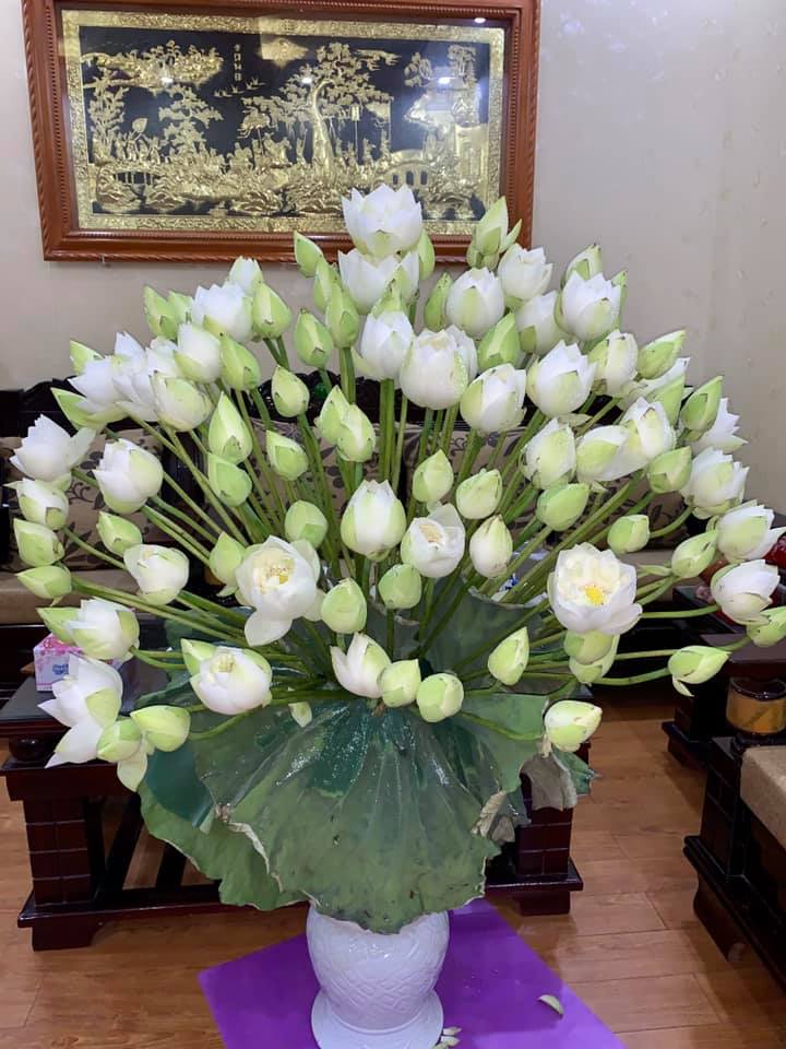 Mẹo cắm hoa sen đẹp và tươi lâu.