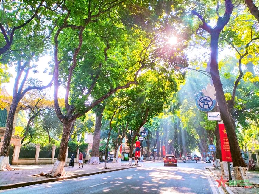 Những con đường đẹp nhất Hà Nội khi lá bắt đầu chuyển màu